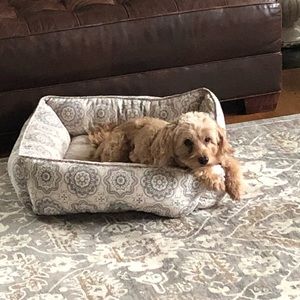 Meet your Posher, Kelly